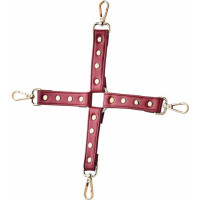 Dream Toys BLAZE ELITE HOGTIE RED