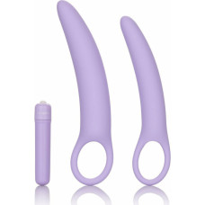 Calexotics Isabelle Set of 2 Dilators