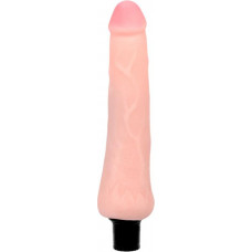 Baile - The Realistic Coock Vibrating