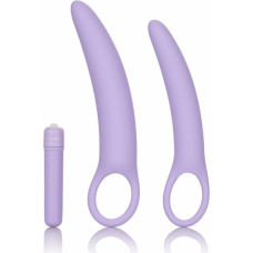 Calexotics Isabelle Set of 2 Dilators