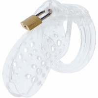 Hidden Desire Chastity Cock Cage Acrylic