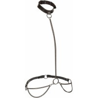 Calexotics Chain Halter & Collar Plus
