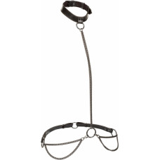 Calexotics Chain Halter & Collar Plus