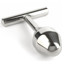 Mr. Steel Pleasure Probe