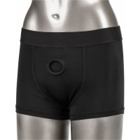Calexotics Boxer Brief