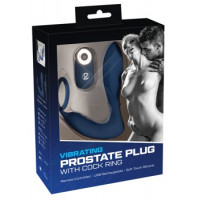 You2Toys Vibrating Prostate Plug with C