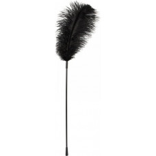 Bad Kitty Black feather Bad Kitty